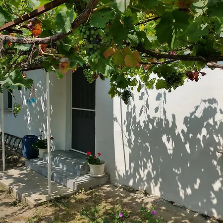 Kuca Za Odmor U Banatu, Okolina Beograda Holiday home